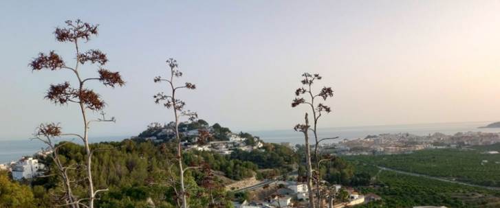 Et bilde som inneholder utend�rs, himmel, tre, landskap

Automatisk generert beskrivelse