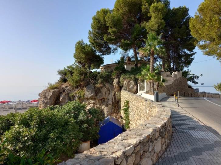 Et bilde som inneholder utend�rs, himmel, tre, plante

Automatisk generert beskrivelse