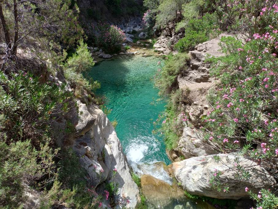 Et bilde som inneholder utend�rs, plante, tre, Fluviale landformer fra elver

Automatisk generert beskrivelse