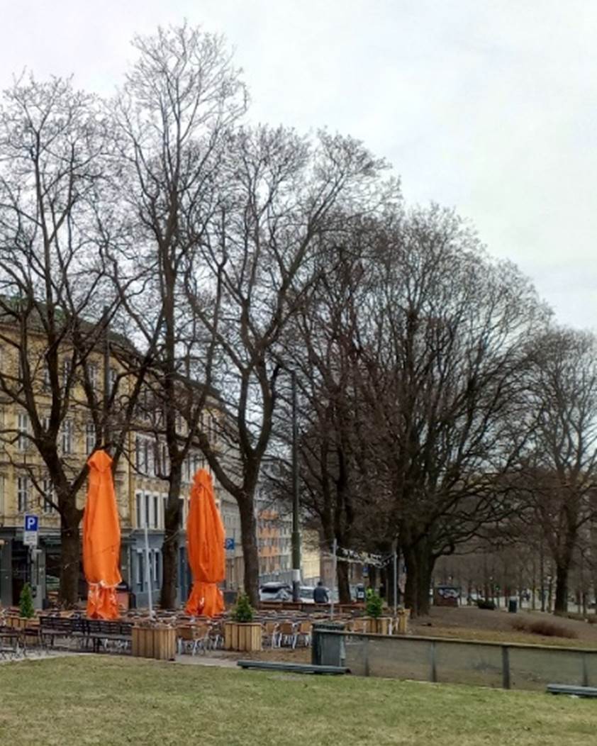 Et bilde som inneholder utend�rs, himmel, tre, konstruksjon

Automatisk generert beskrivelse