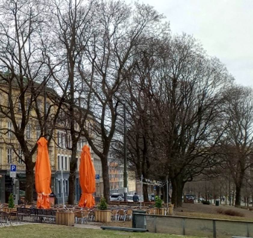 Et bilde som inneholder utend�rs, himmel, tre, konstruksjon

Automatisk generert beskrivelse