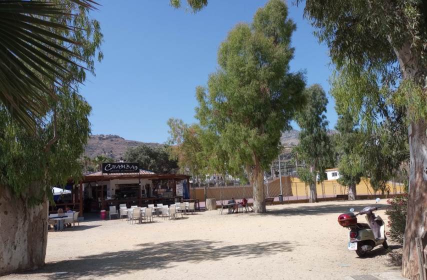 Et bilde som inneholder utend�rs, grunn, himmel, palmetre

Automatisk generert beskrivelse