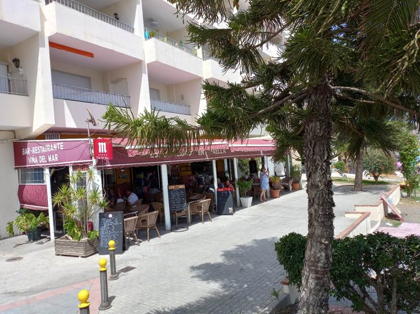 Et bilde som inneholder utend�rs, tre, konstruksjon, plante

Automatisk generert beskrivelse