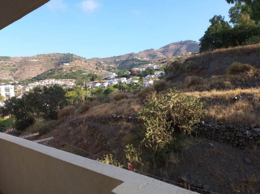 Et bilde som inneholder utend�rs, plante, himmel, tre

Automatisk generert beskrivelse