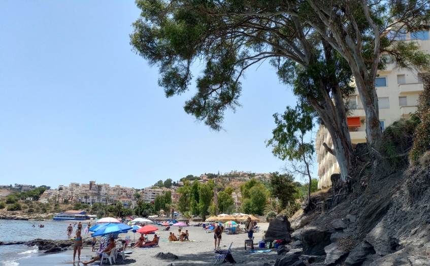 Et bilde som inneholder utend�rs, strand, tre, himmel

Automatisk generert beskrivelse