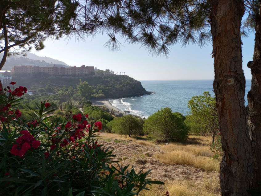 Et bilde som inneholder utend�rs, tre, himmel, vann

Automatisk generert beskrivelse