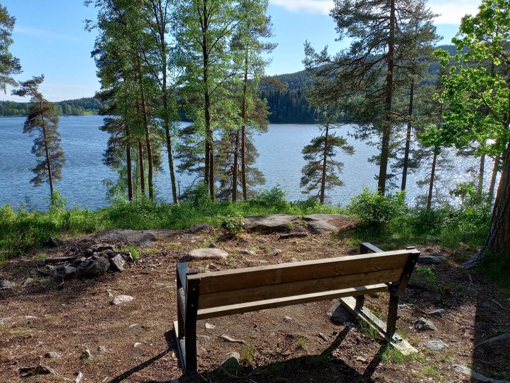 Et bilde som inneholder utend�rs, tre, himmel, vann

Automatisk generert beskrivelse