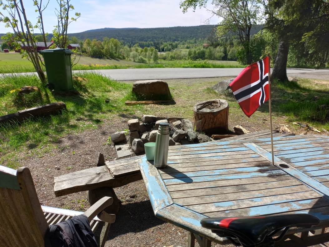 Et bilde som inneholder utend�rs, himmel, tre, plante

Automatisk generert beskrivelse