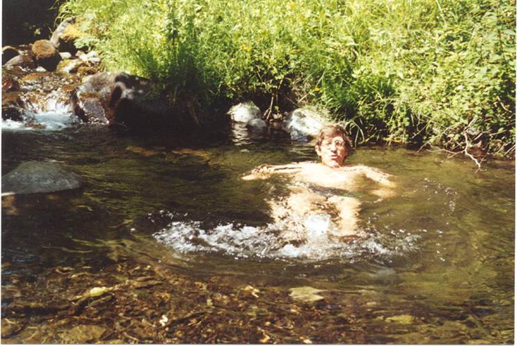 Et bilde som inneholder utend�rs, vann, Vannl�p, plante

Automatisk generert beskrivelse