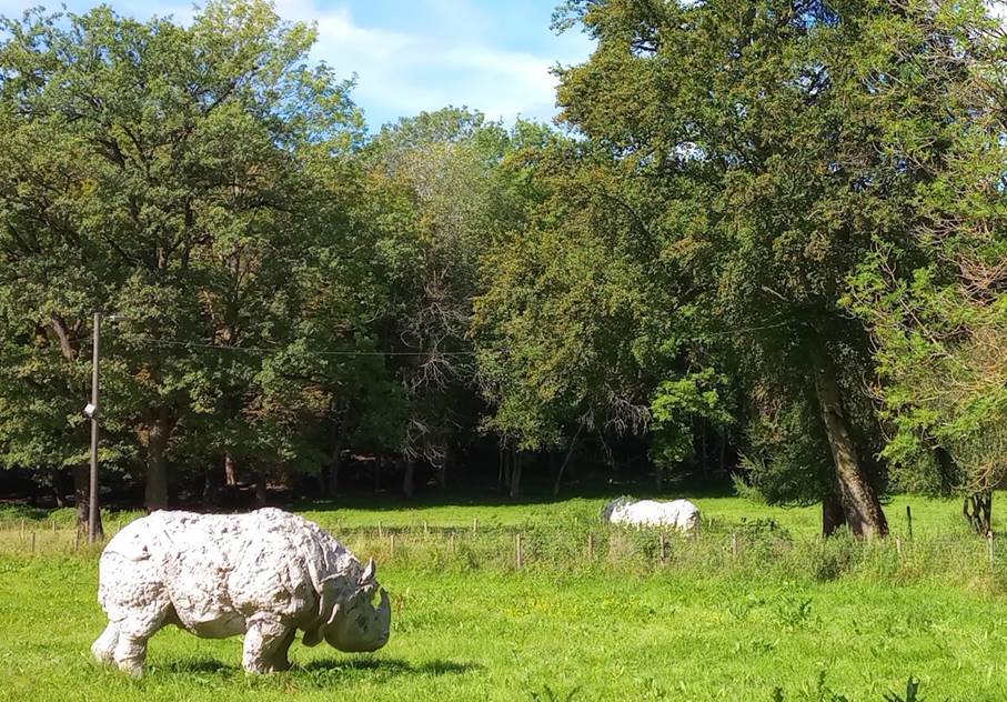 Et bilde som inneholder utend�rs, gress, jorde, himmel

Automatisk generert beskrivelse