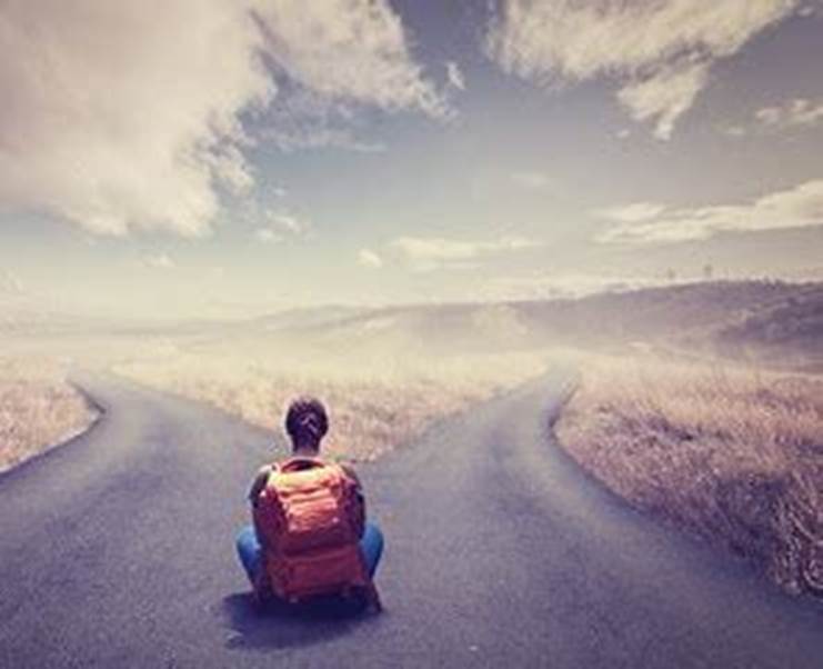 Bilderesultat for valgfrihet