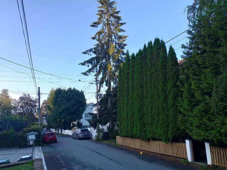 Et bilde som inneholder utend�rs, himmel, bil, vei

Automatisk generert beskrivelse