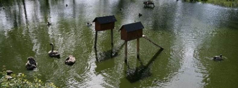 Otterup Andedam | Sev�rdigheder | Nordfyn