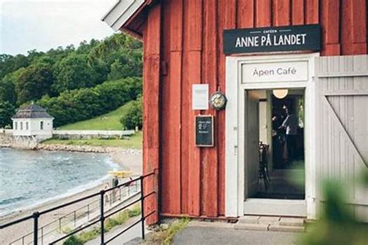 Bilderesultat for anne p� landet hverven